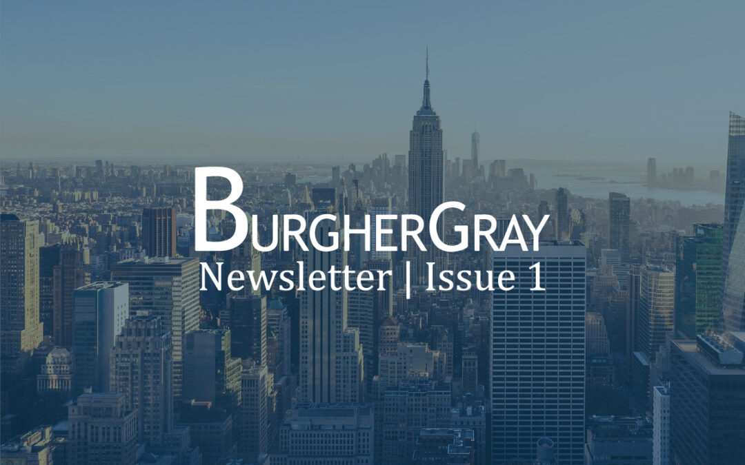 Issue 1 of the BurgherGray Newsletter